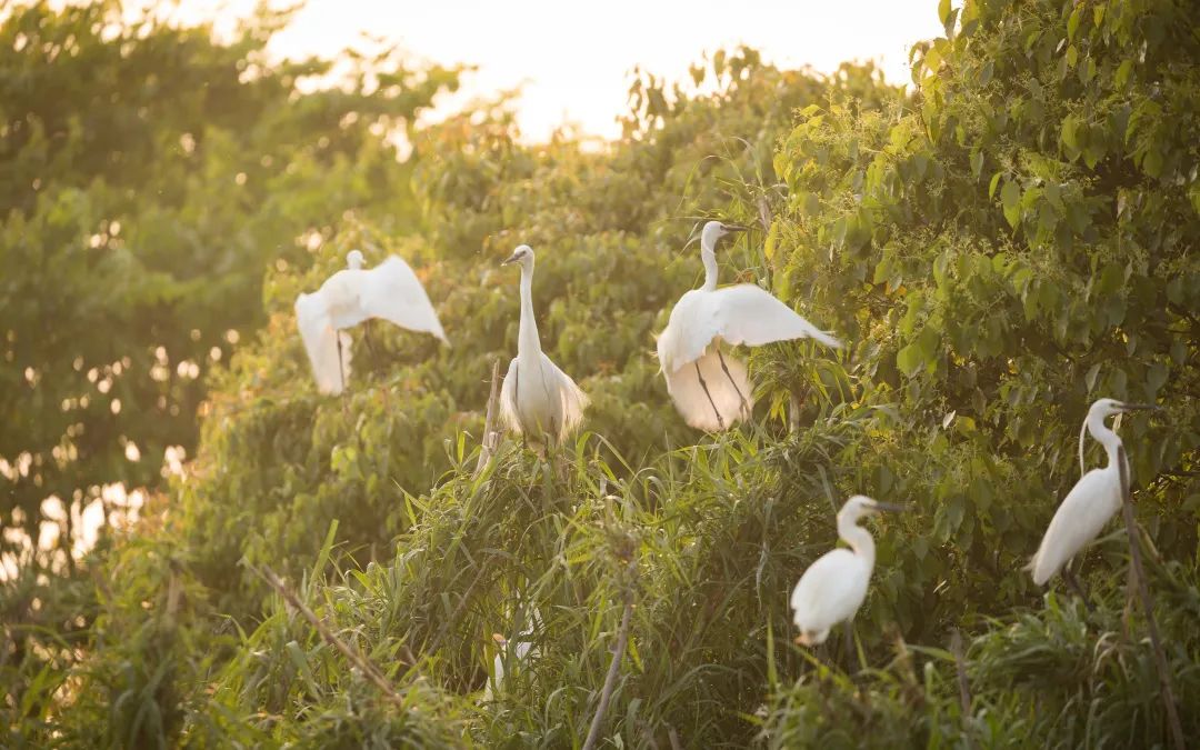 640 (16).jpg 640 (16).jpg